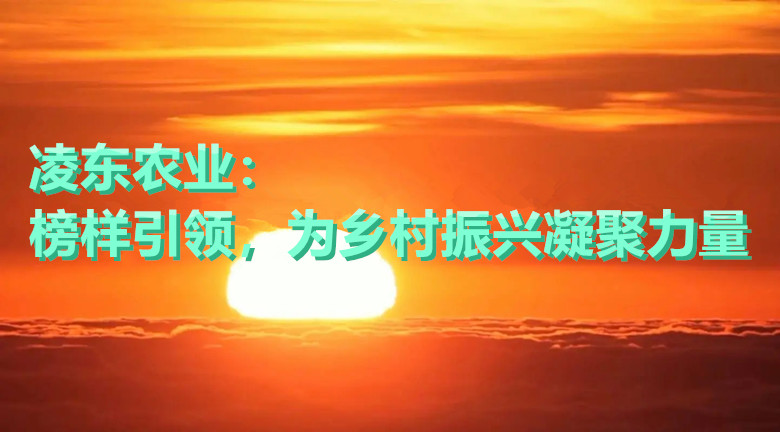 u=4069601244,1892824473&fm=253&fmt=auto&app=120&f=JPEG_w=1444&h=800.webp.jpg