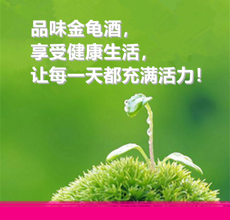 微信图片_20251018005747_1_1_副本.jpg